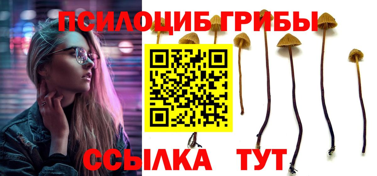 Галлюциногенные грибы GOLDEN TEACHER  Галлюциногенные грибы Magic Shrooms  Вход с VPN  Александров 