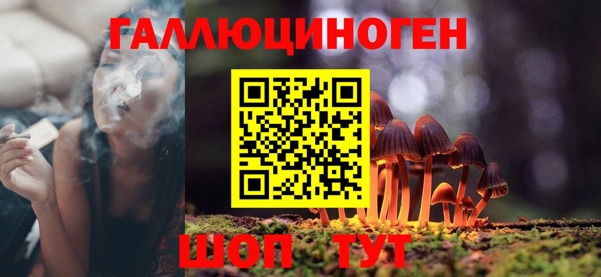 Псилоцибиновые грибы Magic Shrooms Александров